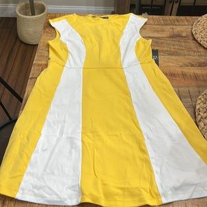 New York & Company dress